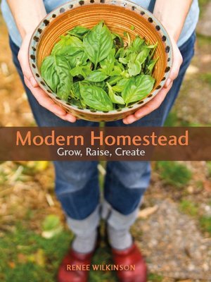 cover image of Modern Homestead